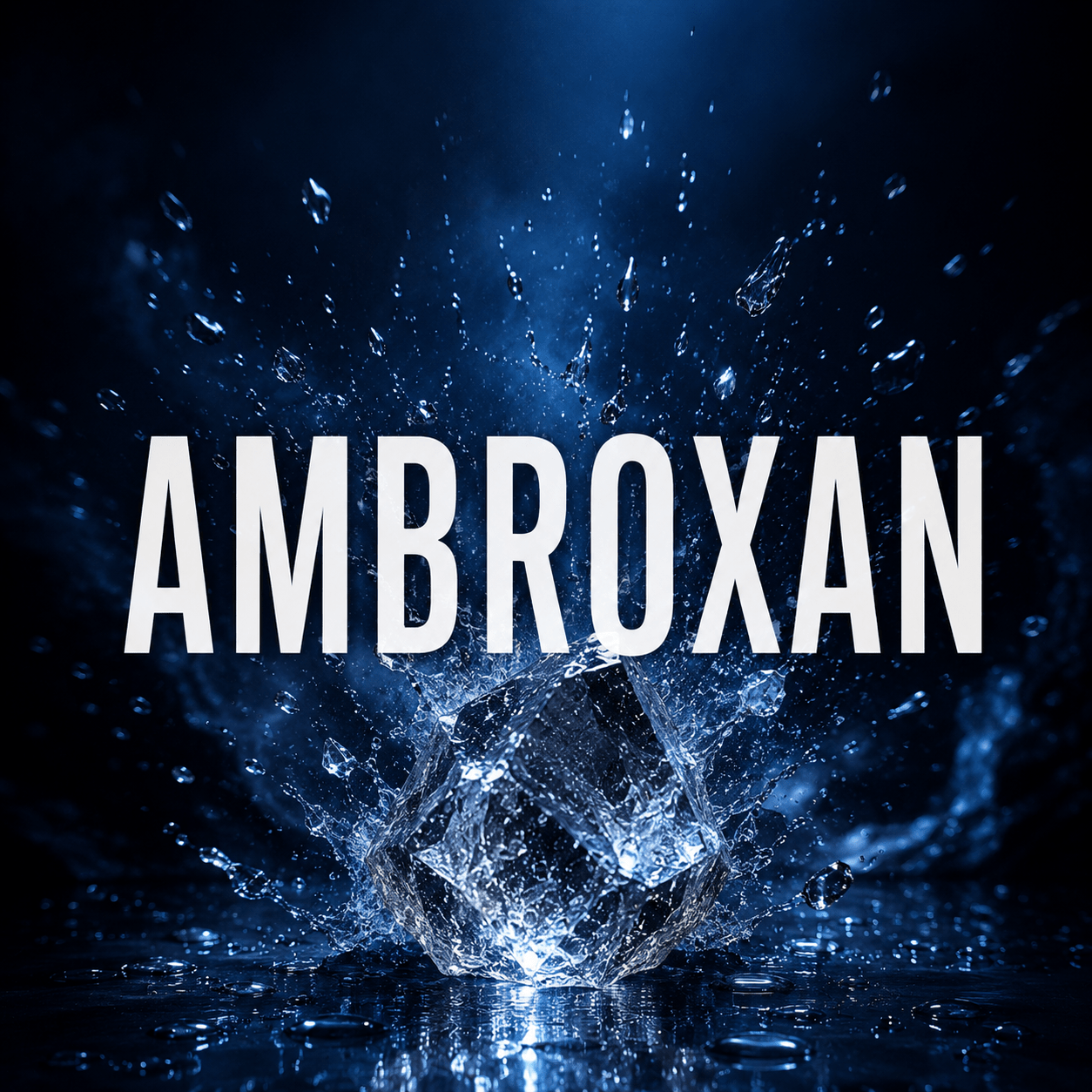 AMBROXAN PERFUMES - LIKE85 FRAGRANCE