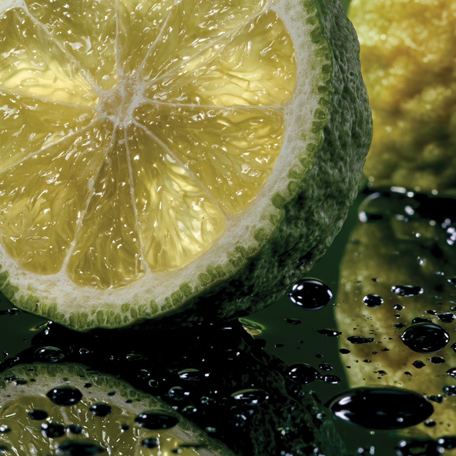 BEST CITRUS FRAGRANCES - LIKE85 FRAGRANCE