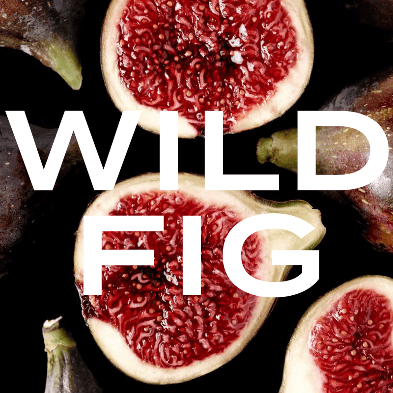 Best Fig Fragrances
