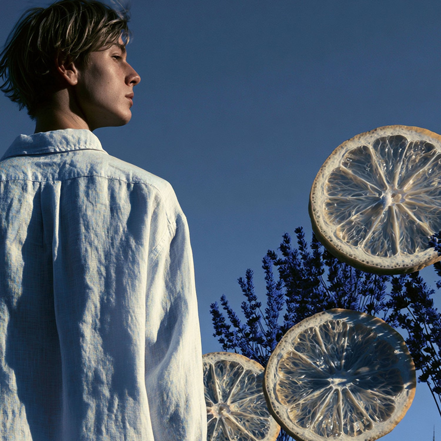 BEST FRESH FRAGRANCES - LIKE85 FRAGRANCE