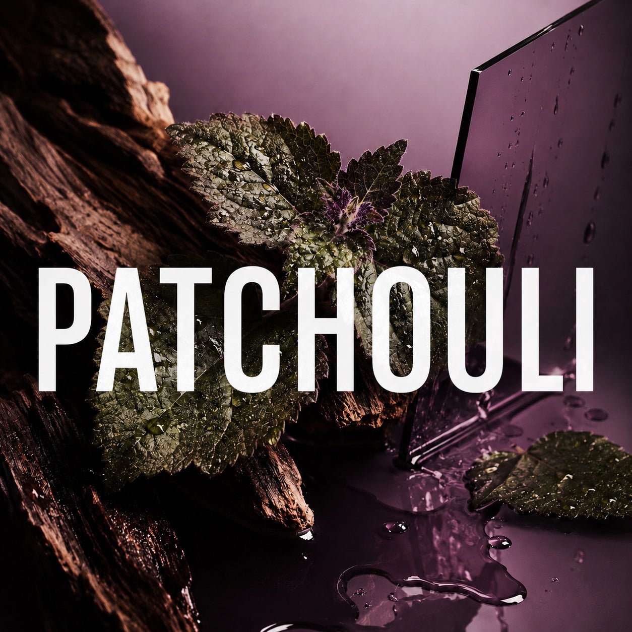 BEST PATCHOULI FRAGRANCES - LIKE85 FRAGRANCE
