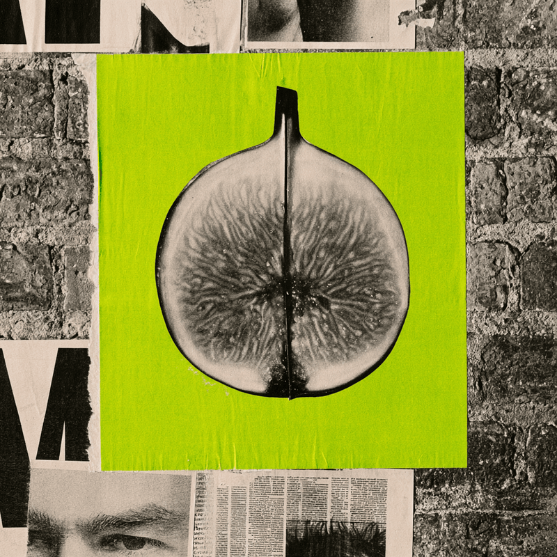 Best Fig Fragrances