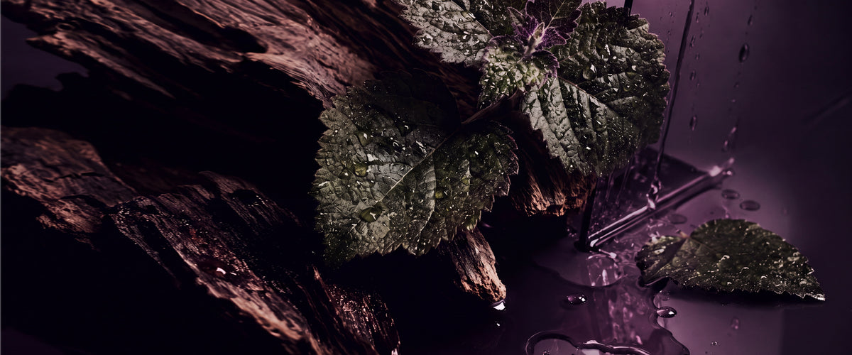 Best patchouli fragrances by LIKE85, banner: Deep earth, modern edge